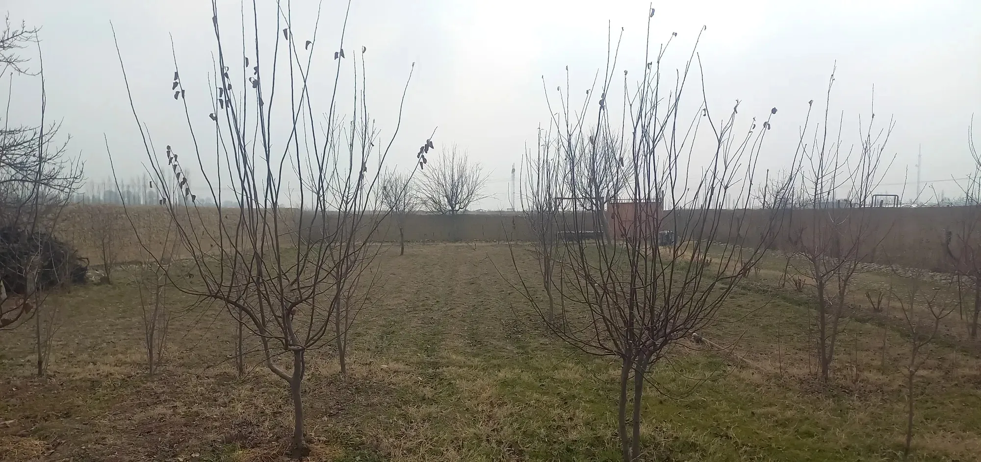 В продаже земля, 6 сот.