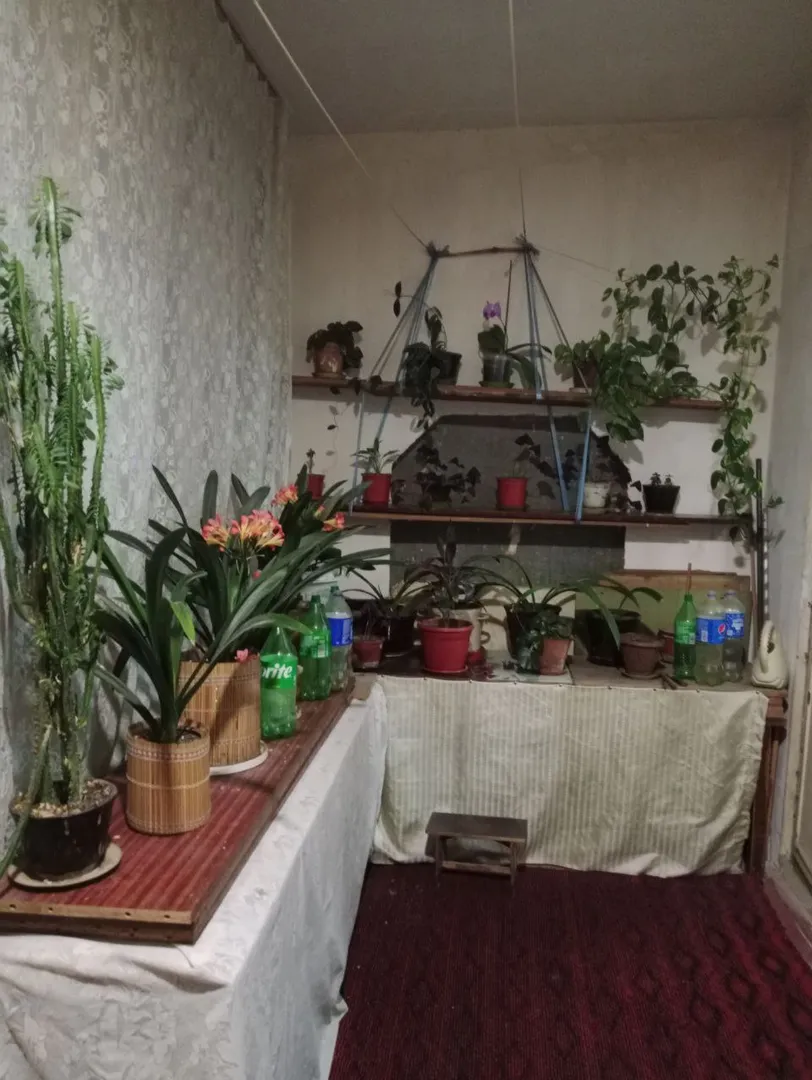 Сотувда 3 хонали квартира, 79 м²